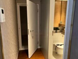 The Oliv (D10), Apartment #480802981